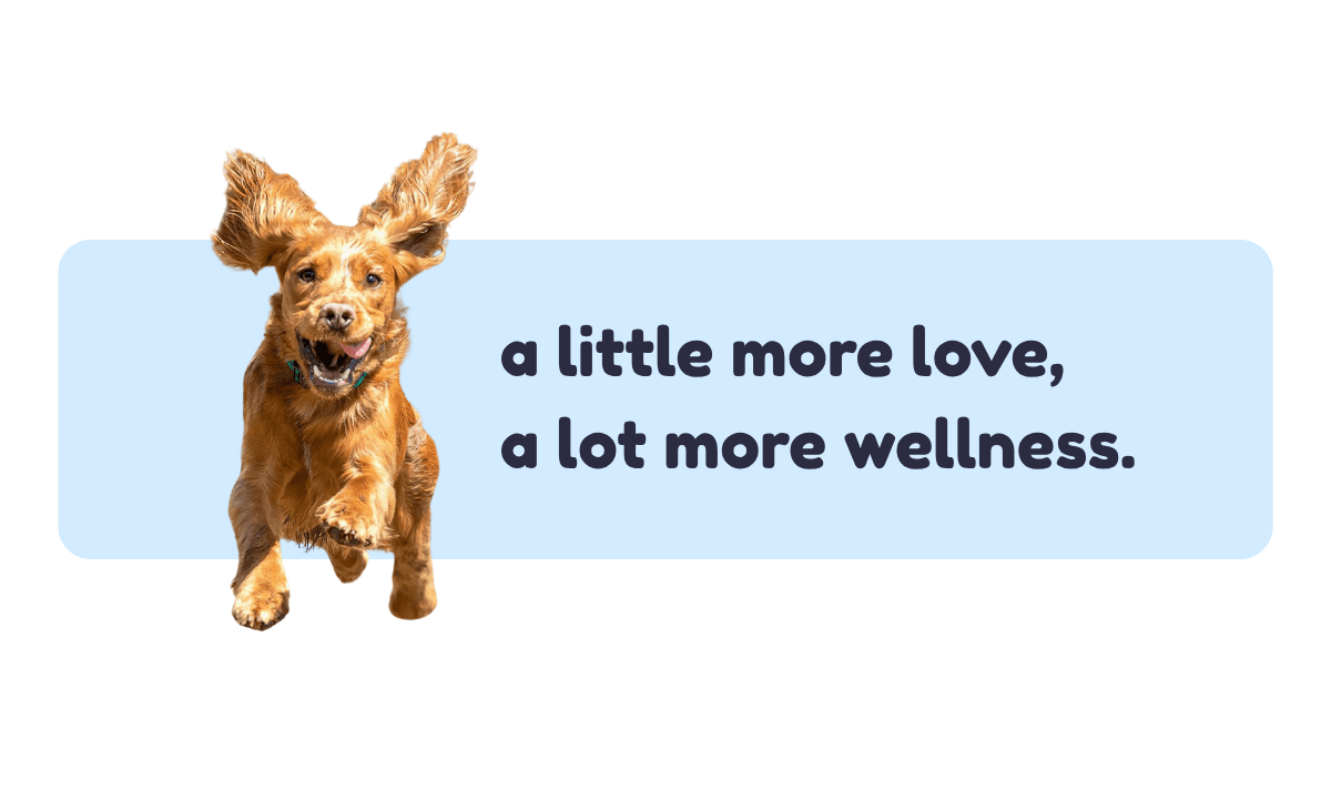 Veterinary Nutrition & Supplement Guide for Healthy Dogs and Cats